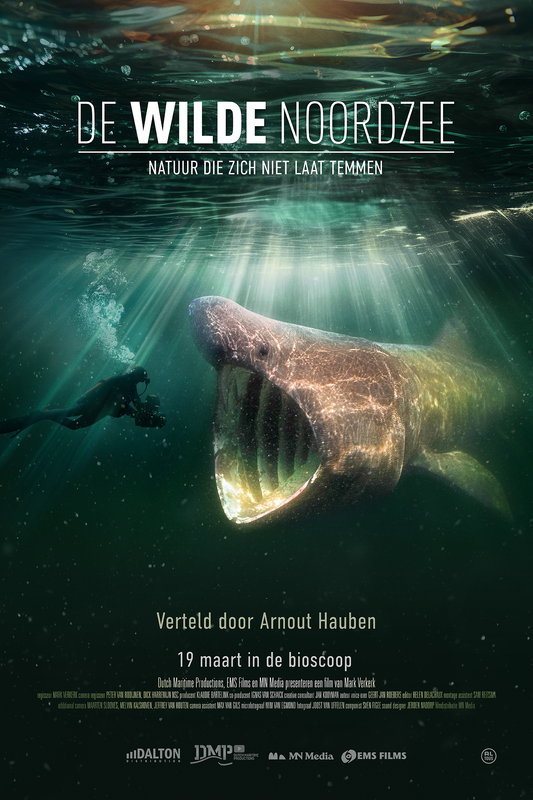 De Wilde Noordzee 9+